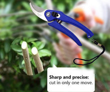 Load image into Gallery viewer, Your Brand Gardening Combo - Flower Cutter (Hedge Shears) & Household/Garden Scissor
