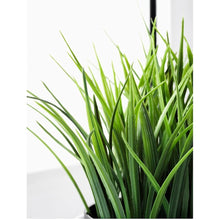 Load image into Gallery viewer, 209 Artificial Plant with Plastic Pot