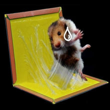 Load image into Gallery viewer, 203 Red Mice Glue Traps (1pc)