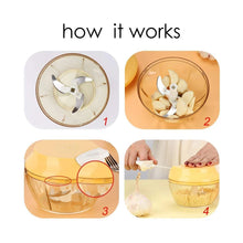 Load image into Gallery viewer, 101 Compact &amp; Powerful Hand Held Vegetable Chopper (650 ml)
